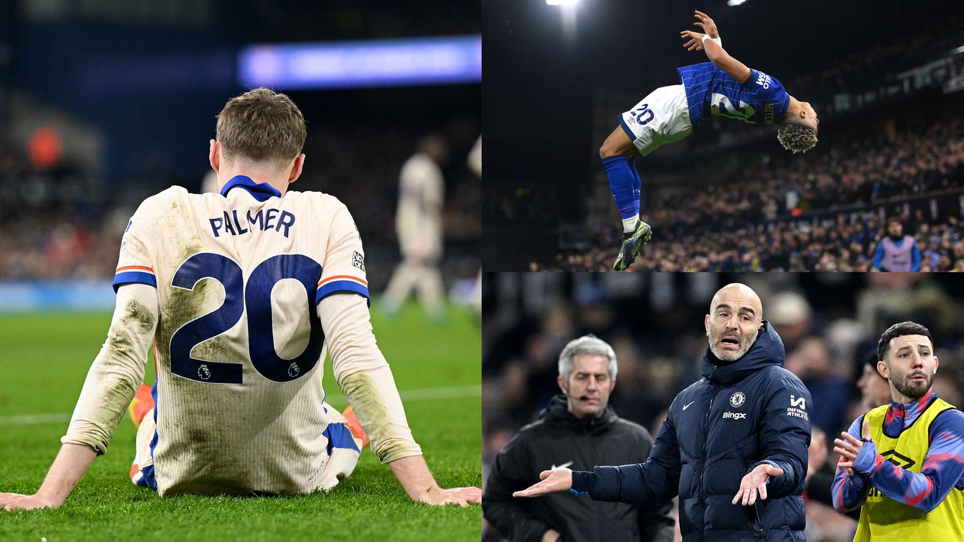 入了全新动 入了全新动